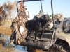 hunting-pics-11-2-313